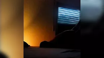 Rough Ending Amateur Doggy Hidden Cam Homemade Loud Moaning Orgasm Rough Sex