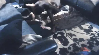 Interracial MILF Cheats with Big Black Cock on Hidden Cam