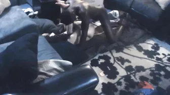 Interracial MILF Cheats with Big Black Cock on Hidden Cam