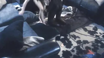 Interracial MILF Cheats with Big Black Cock on Hidden Cam