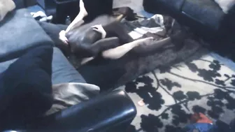 Interracial MILF Cheats with Big Black Cock on Hidden Cam Interracial MILF Cheats with Big Black Cock on Hidden Cam