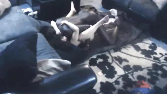 Interracial MILF Cheats with Big Black Cock on Hidden Cam