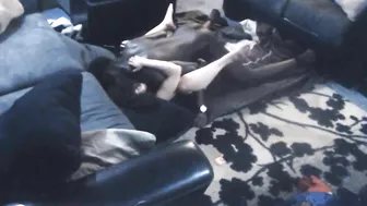 Interracial MILF Cheats with Big Black Cock on Hidden Cam