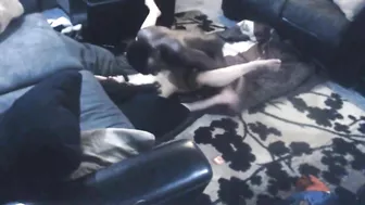 Interracial MILF Cheats with Big Black Cock on Hidden Cam