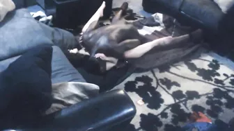 Interracial MILF Cheats with Big Black Cock on Hidden Cam