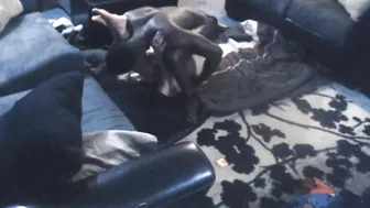 Interracial MILF Cheats with Big Black Cock on Hidden Cam