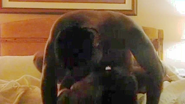 Interracial Hotwife Hidden Cam Orgasm with BBC