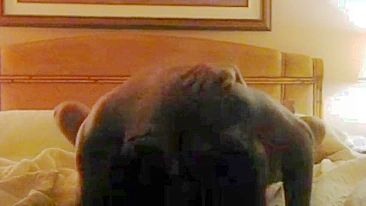 Interracial Hotwife Hidden Cam Orgasm with BBC