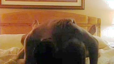 Interracial Hotwife Hidden Cam Orgasm with BBC