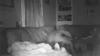 Wife First Time Share Pt4 - Real Hidden Cam Cuckolding with Cowgirl