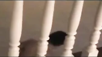 Wild Cuckold Adventure - My Wife Secret Hidden Cam Fuck Session