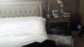 Caught on Camera! Cheating Lover Oral Delight