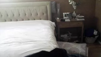 Caught on Camera! Cheating Lover Oral Delight