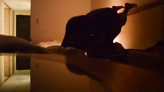 Asian Pussy Amateur Doggy Style with Big Black Cock Hidden Cam