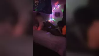 Amateur Interracial Threesome Caught on Hidden Cam