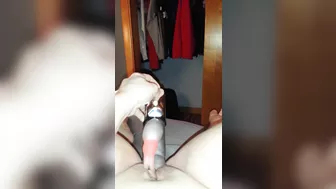 Amateur Masturbation Selfies with Dildos & Rabbit Vibrators