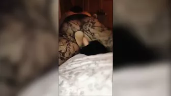 MILF Wife Homemade Masturbation with Sex Toys & Amateur Dildo Fucking