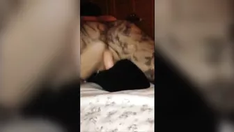 MILF Wife Homemade Masturbation with Sex Toys & Amateur Dildo Fucking