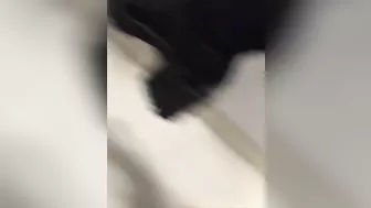 Petite Brunette College Babe Masturbates with Dildo in Homemade Selfie