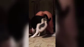 Masturbation Compilation - Blonde Pornstar Big Ass Orgasms w/ Sex Toys