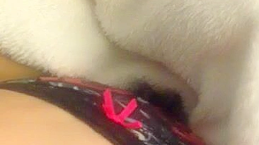 Amateur College Girl Tight Shaved Pussy Fingering Masturbation