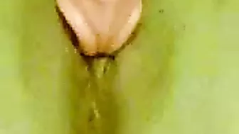 Amateur Arab BBW Masturbates with Dildo in Homemade Video