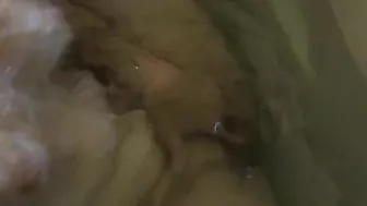 MILF Mom Solo Webcam Orgasm - Amateur Big Boob Busty Cum Shot! MILF Mom Solo Webcam Orgasm - Amateur Big Boob Busty Cum Shot!