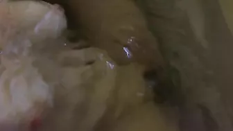 MILF Mom Solo Webcam Orgasm - Amateur Big Boob Busty Cum Shot!