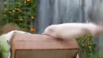 Masturbation Gone Wild - Fingering, Homemade Orgasm & Pussy Rubbing