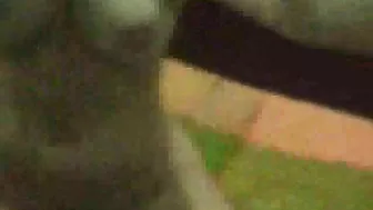 Masturbating with Big Tits and Fingering Her Clit! Homemade Porn