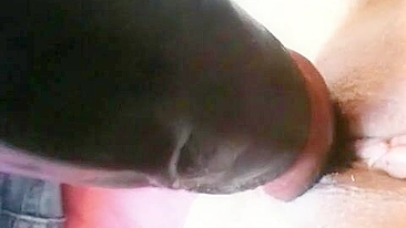 Amateur Black Masturbates with Big Dildo & Homemade Dick!