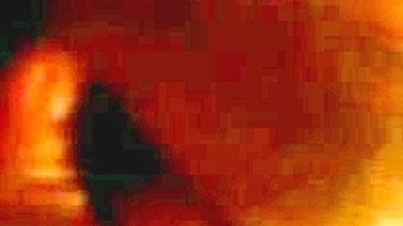 Shaved Pussy Rubdown with Dildo and Toys