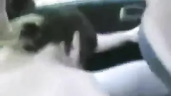 Masturbating Brunette Threesome on Public Road Trip with Big Dicks and Pussy