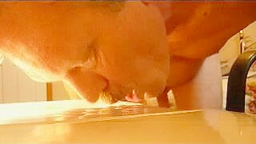 Male Masturbation - Cum Eating & Jerking Off Homemade Sex