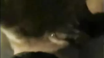 Homemade Porn Video - Hot Wife Gets Blowjobs & Cumshots in German POV