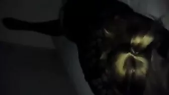 Amateur Blonde College Girl Gets Fisted & Ass Plugged in Homemade Sex with Stockings