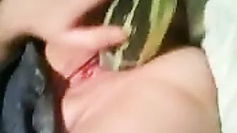 Stretching Wet Pussy with Massive Dildos in Homemade Fetish Veggie Fun Stretching Wet Pussy with Massive Dildos in Homemade Fetish Veggie Fun