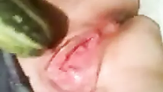 Stretching Wet Pussy with Massive Dildos in Homemade Fetish Veggie Fun