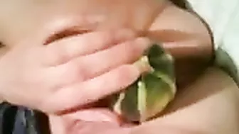 Stretching Wet Pussy with Massive Dildos in Homemade Fetish Veggie Fun