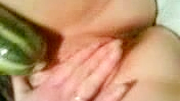 Stretching Wet Pussy with Massive Dildos in Homemade Fetish Veggie Fun