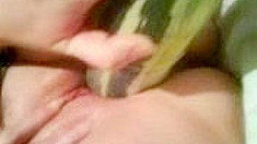 Stretching Wet Pussy with Massive Dildos in Homemade Fetish Veggie Fun