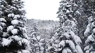 Homemade Outdoor Public Sex with Cumshots & Facials