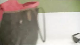 Homemade Blowjob in Library Cubicle with Big Boobs & Brunette Girl