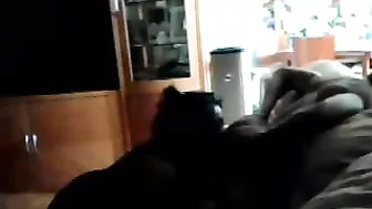 Homemade Sex with Big Mama - BBC, Blowjobs & Ass Licking