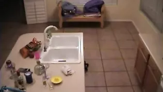 Wife Interracial Cheating Caught on Homemade Video - BBC, Big Black Cock, and Bigger Tits