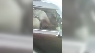 Homemade Car Sex Blowjob Amateur Exhibitionist Voyeur Porn