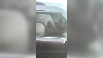 Homemade Car Sex Blowjob Amateur Exhibitionist Voyeur Porn