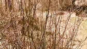 Homemade Outdoor Fucking with Cum Swallowed - Amateur Couple Public Sex