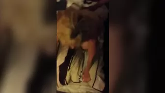 Homemade Wife Gets Gangbanged by Black Thugs in Amateur Facial Fling