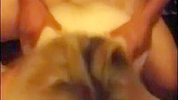 Homemade Wife Gets Gangbanged by Black Thugs in Amateur Facial Fling